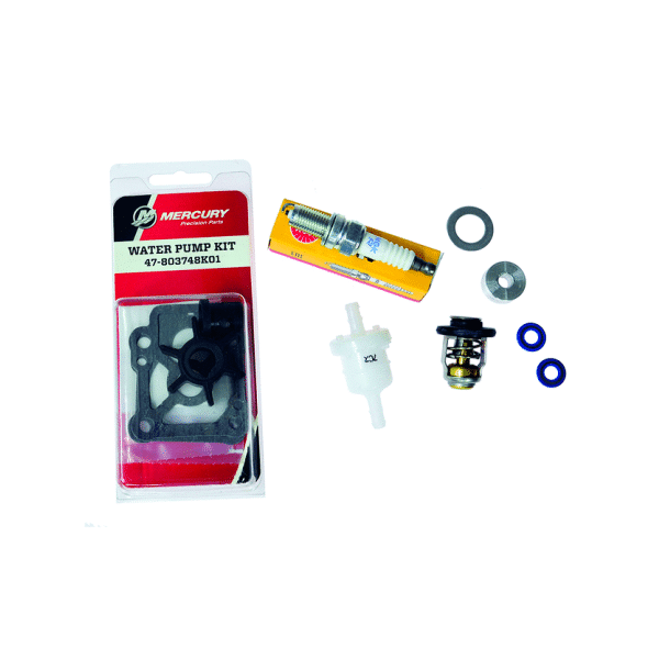 onderhoud kit 300 uur 8 en 9.9 pk