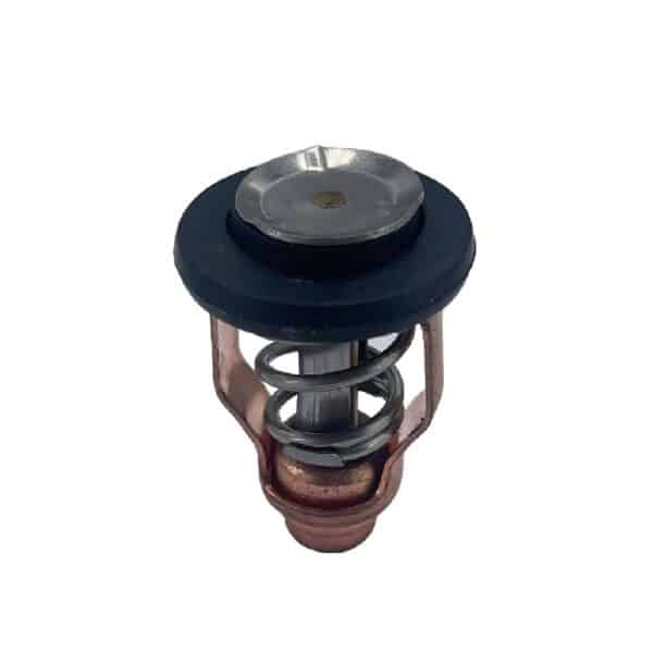 60V-12411-00-00 thermostaat yamaha