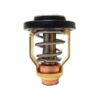 6E5-12411-30-00 thermostaat yamaha