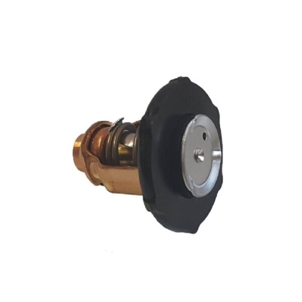 6EK-12411-00-00 thermostaat yamaha