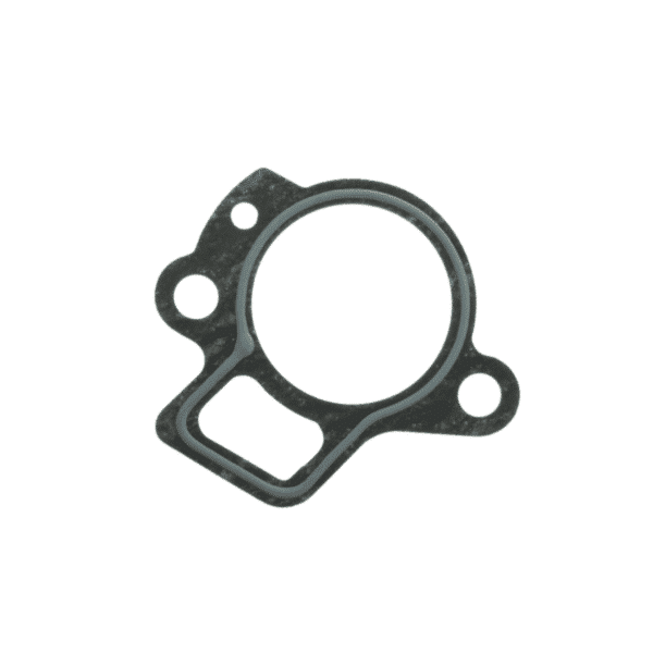 thermostaat pakking mercury